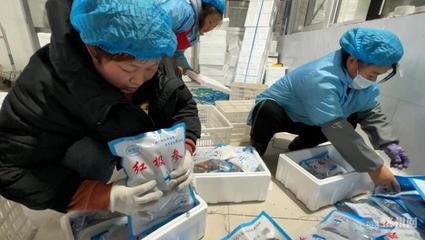 濱州60余家漁業(yè)企業(yè)開(kāi)足馬力備戰(zhàn)春節(jié)水產(chǎn)品市場(chǎng)供應(yīng)