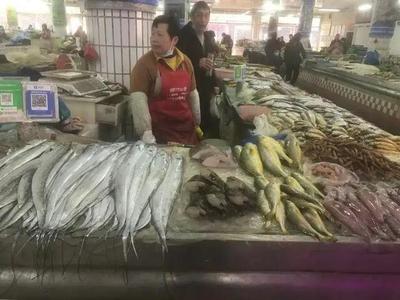 浙江水產市場現“黃金海鮮” 一斤飆至五百元，朋友圈里的價格驚嘆號