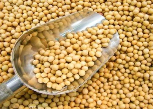 寧波進口食品排行榜揭曉 水產品榮登榜首，吃貨最愛一覽