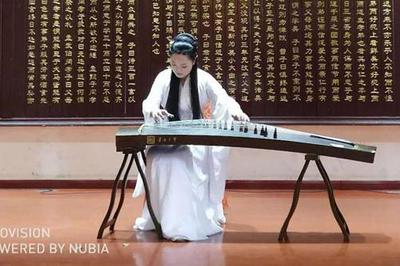 第八屆中國(國際)器樂文化藝術節(jié)南陽站演出活動圓滿舉行，助推文化藝術交流新篇章